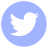 Blue Twitter OCG icon